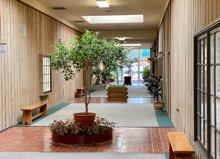 Plant-filled atrium walkway inside the Landa Professional Center, New Braunfels